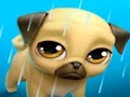لعبة My Virtual Pet Louie the Pug على الانترنت