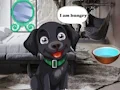 لعبة Feed Hungry Black Dog على الانترنت