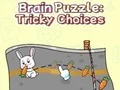 لعبة Brain Puzzle: Tricky Choices على الانترنت