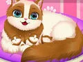 لعبة Cute Kitty Pregnant على الانترنت