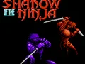 لعبة Shadow of the Ninja على الانترنت