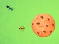 لعبة Ant vs Cookie على الانترنت