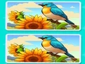 لعبة Spot the Difference The Garden على الانترنت