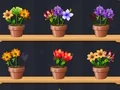 لعبة Good Flower Master على الانترنت