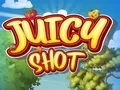 لعبة Juicy Shot على الانترنت