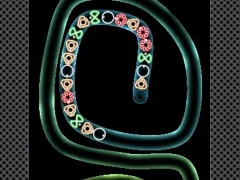 لعبة TD Neon Shoot على الانترنت