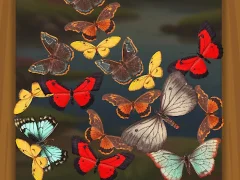 لعبة Merge Buterfly على الانترنت