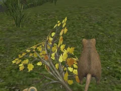 لعبة Forest Mouse على الانترنت