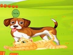 لعبة Bunny Key Quest على الانترنت