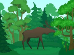 لعبة Wild Animals Coloring على الانترنت