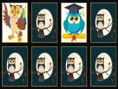 لعبة Cute Owl Memory على الانترنت
