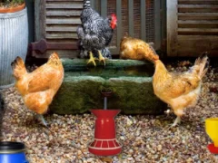 لعبة Poultry Farm Easter Escape على الانترنت
