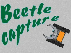 لعبة Beetle Capture على الانترنت