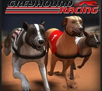 لعبة Greyhound Racing على الانترنت