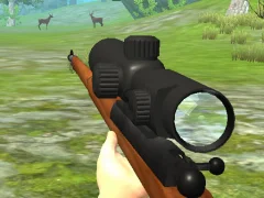 لعبة Hunter 3D على الانترنت