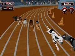 لعبة Crazyl Dog Racing Fever على الانترنت