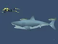 لعبة Mad Shark على الانترنت