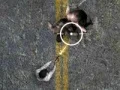 لعبة Undead Highway على الانترنت