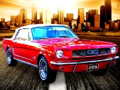 لعبة Daily Mustang على الانترنت