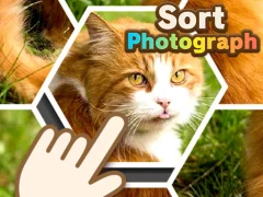 لعبة Sort Photograph على الانترنت