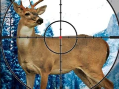 لعبة Sniper Stag Hunter على الانترنت