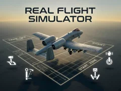 لعبة Real Flight Simulator على الانترنت
