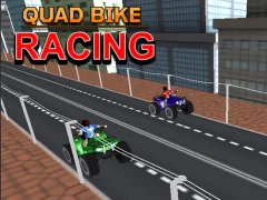 لعبة Quad Bike Racing على الانترنت