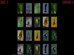 لعبة Memorize the birds على الانترنت