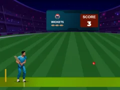 لعبة Cricket Night 2 على الانترنت