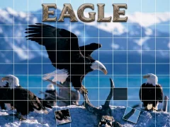 لعبة Eagle على الانترنت