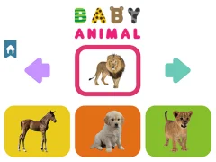 لعبة Baby Animal على الانترنت