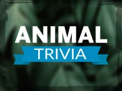 لعبة Animal Trivia على الانترنت