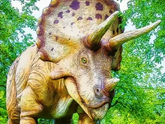 لعبة Giant Triceratops Puzzle على الانترنت