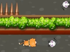 لعبة Cat Trap Labyrinth Escape على الانترنت