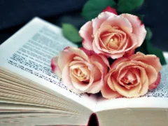 لعبة Book of Blooms Jigsaw على الانترنت