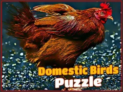 لعبة Domestic Birds Puzzle على الانترنت