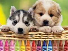 لعبة 4GameGround Puppy Coloring على الانترنت
