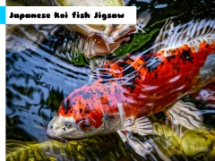 لعبة Japanese Koi Fish Jigsaw على الانترنت