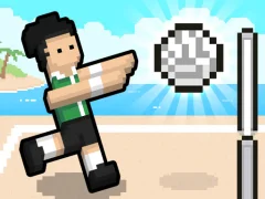 لعبة Volley Random على الانترنت