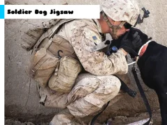 لعبة Soldier Dog Jigsaw على الانترنت