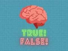 لعبة True! False! على الانترنت