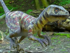 لعبة Smallest Dinosaurs Jigsaw على الانترنت