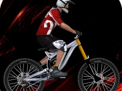 لعبة Real Riders على الانترنت
