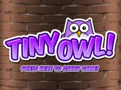لعبة Tiny Owl على الانترنت