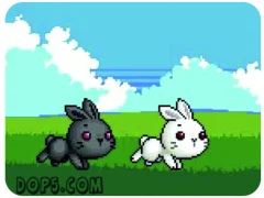 لعبة Cute Rabbit على الانترنت