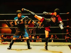 لعبة Fighters in the Ring على الانترنت