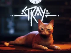 لعبة Stray على الانترنت