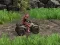 لعبة ATV Offroad Trials 2 على الانترنت