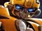 لعبة Bumblebee Hidden Spots على الانترنت