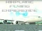لعبة Airplane Flying Expierence على الانترنت